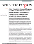 Cover page: A Multi-modality Approach Towards Elucidation of the Mechanism for Human Achilles Tendon Bending During Passive Ankle Rotation