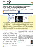 Cover page: Imaging the Bacterial Cell Wall Using N‑Acetyl Muramic Acid-Derived Positron Emission Tomography Radiotracers