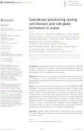 Cover page: Subcellular positioning during cell division and cell plate formation in maize.