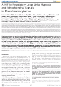 Cover page: A HIF1α Regulatory Loop Links Hypoxia and Mitochondrial Signals in Pheochromocytomas