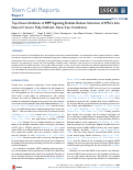 Cover page: Top-Down Inhibition of BMP Signaling Enables Robust Induction of hPSCs Into Neural Crest in Fully Defined, Xeno-free Conditions