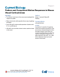 Cover page: Pattern and Component Motion Responses in Mouse Visual Cortical Areas