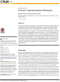 Cover page: A Faster Triphosphorylation Ribozyme