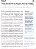 Cover page: Species-resolved, single-cell respiration rates reveal dominance of sulfate reduction in a deep continental subsurface ecosystem.