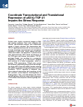 Cover page: Coordinate Transcriptional and Translational Repression of p53 by TGF-β1 Impairs the Stress Response