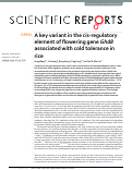 Cover page: A key variant in the cis-regulatory element of flowering gene Ghd8 associated with cold tolerance in rice