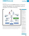 Cover page: A protocol for transdifferentiation of human cardiac fibroblasts into endothelial cells via activation of innate immunity