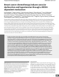 Cover page: Breast cancer chemotherapy induces vascular dysfunction and hypertension through a NOX4-dependent mechanism.