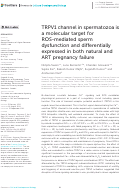 Cover page: TRPV1 channel in spermatozoa is a molecular target for ROS-mediated sperm dysfunction and differentially expressed in both natural and ART pregnancy failure