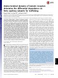 Cover page: Amino-terminal domains of kainate receptors determine the differential dependence on Neto auxiliary subunits for trafficking