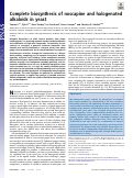 Cover page: Complete biosynthesis of noscapine and halogenated alkaloids in yeast