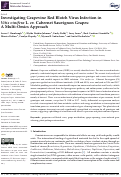 Cover page: Investigating Grapevine Red Blotch Virus Infection in <i>Vitis vinifera</i> L. cv. Cabernet Sauvignon Grapes: A Multi-Omics Approach.