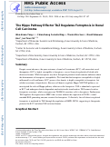 Cover page: The Hippo Pathway Effector TAZ Regulates Ferroptosis in Renal Cell Carcinoma.