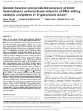 Cover page: Domain function and predicted structure of three heterodimeric endonuclease subunits of RNA editing catalytic complexes in Trypanosoma brucei.