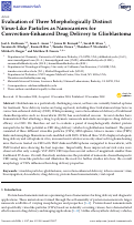 Cover page: Evaluation of Three Morphologically Distinct Virus-Like Particles as Nanocarriers for Convection-Enhanced Drug Delivery to Glioblastoma