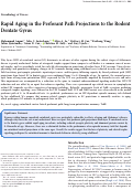 Cover page: Rapid Aging in the Perforant Path Projections to the Rodent Dentate Gyrus