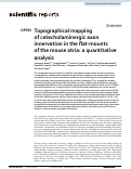 Cover page: Topographical mapping of catecholaminergic axon innervation in the flat-mounts of the mouse atria: a quantitative analysis.