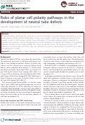 Cover page: Roles of planar cell polarity pathways in the development of neutral tube defects