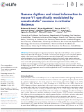 Cover page: Gamma rhythms and visual information in mouse V1 specifically modulated by somatostatin+ neurons in reticular thalamus