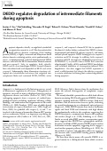 Cover page: DEDD regulates degradation of intermediate filaments during apoptosis