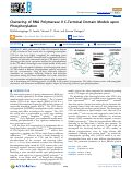 Cover page of Clustering of RNA Polymerase II C-Terminal Domain Models upon Phosphorylation.