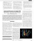 Cover page: Capturing the Structure of a Catalytic RNA Intermediate: The Hammerhead Ribozyme