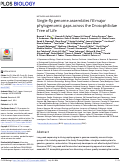 Cover page: Single-fly genome assemblies fill major phylogenomic gaps across the Drosophilidae Tree of Life