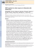 Cover page: MMP9 regulates the cellular response to inflammation after skeletal injury