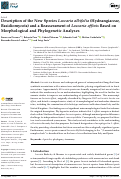 Cover page: Description of the New Species Laccaria albifolia (Hydnangiaceae, Basidiomycota) and a Reassessment of Laccaria affinis Based on Morphological and Phylogenetic Analyses.