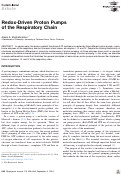Cover page: Redox-Driven Proton Pumps of the Respiratory Chain