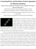 Cover page: Contrasting Disease and Nondisease Protein Aggregation by Molecular Simulation