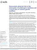 Cover page: Homeostatic plasticity fails at the intersection of autism-gene mutations and a novel class of common genetic modifiers