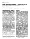 Cover page: Cellular stress inhibits transposition of the yeast retrovirus-like element Ty3 by a ubiquitin-dependent block of virus-like particle formation.