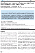 Cover page: Identification and Dissection of a Complex DNA Repair Sensitivity Phenotype in Baker's Yeast