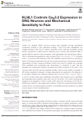 Cover page: KLHL1 Controls CaV3.2 Expression in DRG Neurons and Mechanical Sensitivity to Pain