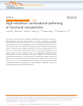 Cover page: High-resolution combinatorial patterning of functional nanoparticles