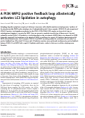 Cover page: A PI3K-WIPI2 positive feedback loop allosterically activates LC3 lipidation in autophagy