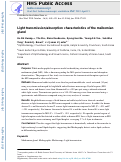 Cover page: Light transmission/absorption characteristics of the meibomian gland.