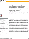 Cover page: Osteological Variation among Extreme Morphological Forms in the Mexican Salamander Genus Chiropterotriton (Amphibia: Plethodontidae): Morphological Evolution And Homoplasy