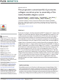 Cover page: The proprotein convertase BLI-4 promotes collagen secretion prior to assembly of the Caenorhabditis elegans cuticle.