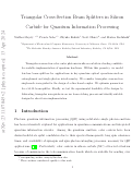 Cover page of Triangular cross-section beam splitters in silicon carbide for quantum information processing