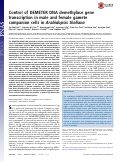 Cover page: Control of DEMETER DNA demethylase gene transcription in male and female gamete companion cells in Arabidopsis thaliana