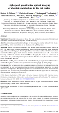 Cover page: High-speed quantitative optical imaging of absolute metabolism in the rat cortex