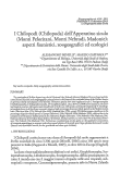 Cover page: I Chilopodi (Chilopoda) dell'Appennino siculo (Monti Peloritani, Monti Nebrodi, Madonie): aspetti faunistici, zoogeografici ed ecologici