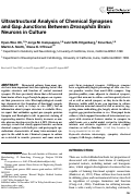 Cover page: Ultrastructural analysis of chemical synapses and gap junctions between Drosophila brain neurons in culture.