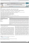 Cover page: Brain organoids, consciousness, ethics and moral status