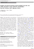 Cover page: Isolation and characterization of microsatellite loci in the rock scallop (Spondylus calcifer) (Bivalvia: Spondylidae) from the Northern Gulf California, Mexico