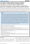 Cover page: The CHC22 clathrin-GLUT4 transport pathway contributes to skeletal muscle regeneration.