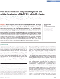 Cover page: Polo kinase mediates the phosphorylation and cellular localization of Nuf/FIP3, a Rab11 effector