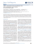 Cover page: FGFR3 is expressed by human primordial germ cells and is repressed after meiotic initiation to form primordial oocytes